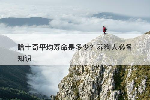 哈士奇平均寿命是多少？养狗人必备知识