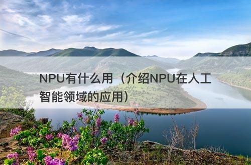 NPU有什么用（介绍NPU在人工智能领域的应用）