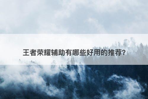 王者荣耀辅助有哪些好用的推荐?