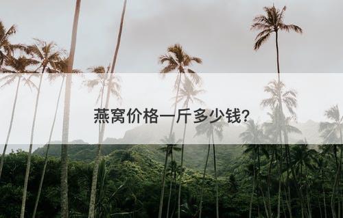 燕窝价格一斤多少钱?