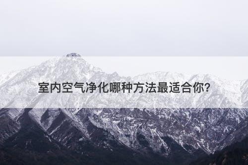 室内空气净化哪种方法最适合你?