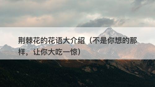 荆棘花的花语大介绍(不是你想的那样,让你大吃一惊)