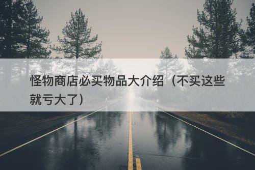 怪物商店必买物品大介绍（不买这些就亏大了）