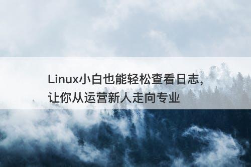 Linux小白也能轻松查看日志，让你从运营新人走向专业