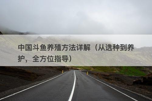 中国斗鱼养殖方法详解（从选种到养护，全方位指导）