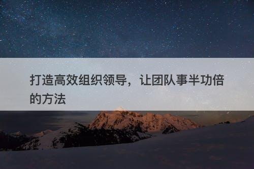打造高效组织领导，让团队事半功倍的方法