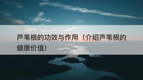 芦苇根的功效与作用(介绍芦苇根的健康价值)