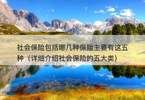 社会保险包括哪几种保险主要有这五种（详细介绍社会保险的五大类）