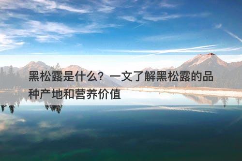 黑松露是什么?一文了解黑松露的品种产地和营养价值