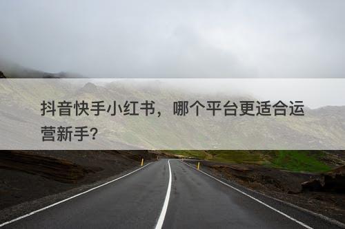 抖音快手小红书，哪个平台更适合运营新手？