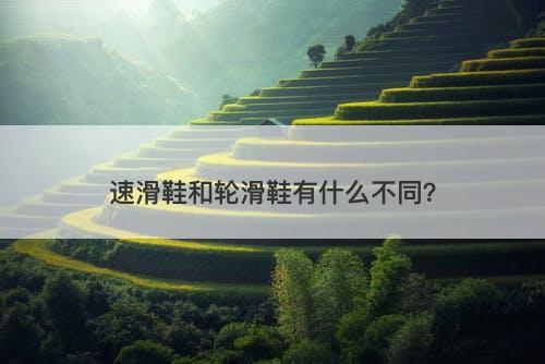 速滑鞋和轮滑鞋有什么不同?