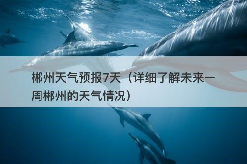 郴州天气预报7天（详细了解未来一周郴州的天气情况）