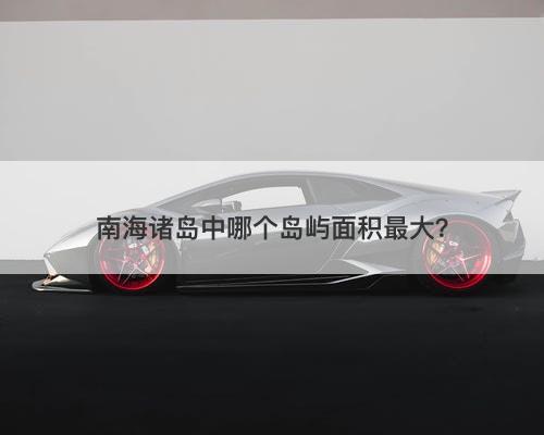 南海诸岛中哪个岛屿面积最大？
