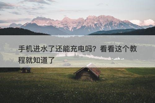 手机进水了还能充电吗？看看这个教程就知道了
