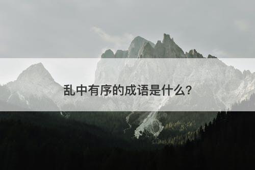 乱中有序的成语是什么？