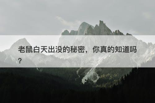 老鼠白天出没的秘密，你真的知道吗？