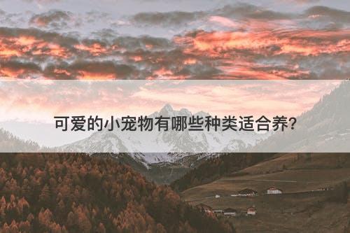 可爱的小宠物有哪些种类适合养？