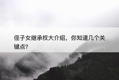 侄子女继承权大介绍，你知道几个关键点？