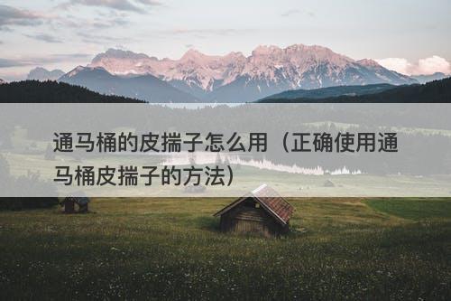 通马桶的皮揣子怎么用（正确使用通马桶皮揣子的方法）