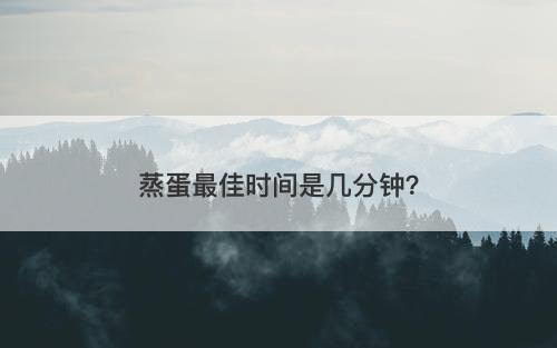 蒸蛋最佳时间是几分钟？