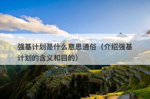 强基计划是什么意思通俗（介绍强基计划的含义和目的）