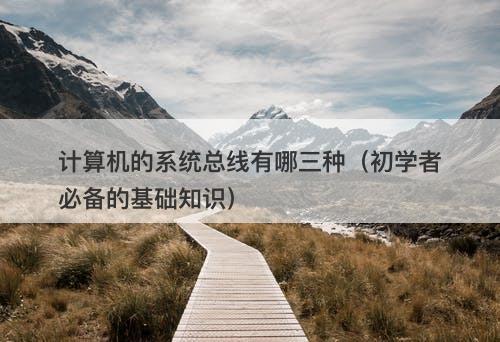 计算机的系统总线有哪三种（初学者必备的基础知识）