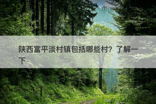 陕西富平淡村镇包括哪些村？了解一下