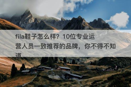 fila鞋子怎么样？10位专业运营人员一致推荐的品牌，你不得不知道