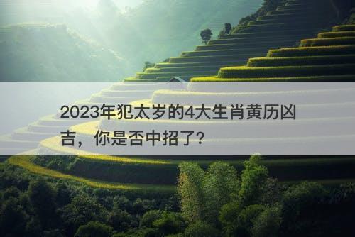 2023年犯太岁的4大生肖黄历凶吉，你是否中招了？