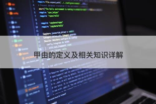 甲由的定义及相关知识详解