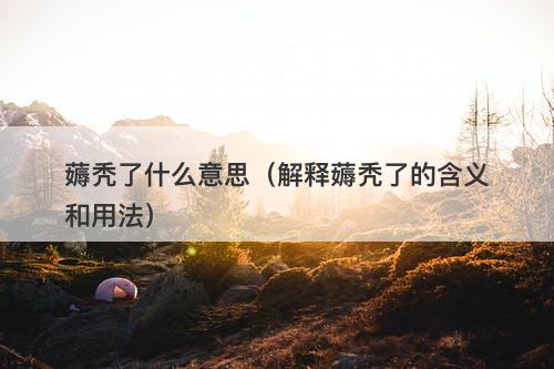 薅秃了什么意思（解释薅秃了的含义和用法）