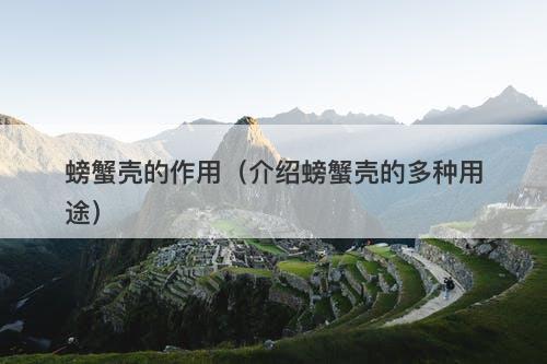 螃蟹壳的作用（介绍螃蟹壳的多种用途）