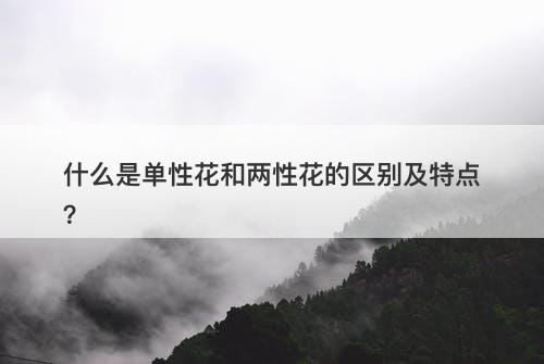 什么是单性花和两性花的区别及特点？