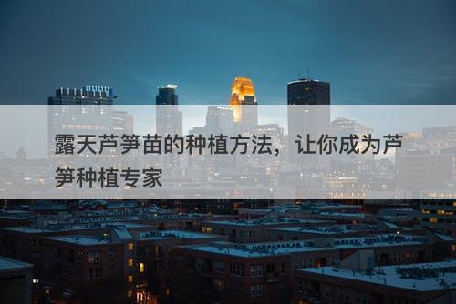 露天芦笋苗的种植方法，让你成为芦笋种植专家