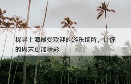探寻上海最受欢迎的游乐场所，让你的周末更加精彩