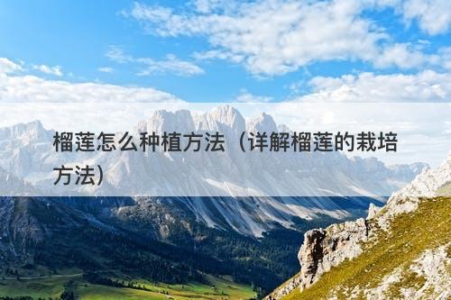 榴莲怎么种植方法(详解榴莲的栽培方法)-图1 榴莲怎么种植方法(详解榴莲的栽培方法)-图1