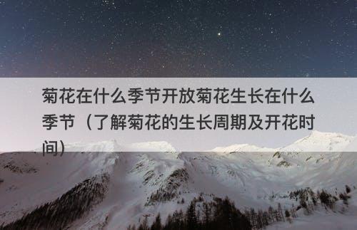 菊花在什么季节开放菊花生长在什么季节（了解菊花的生长周期及开花时间）-图1