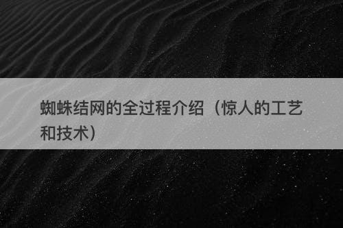 蜘蛛结网的全过程介绍(惊人的工艺和技术)-图1 蜘蛛结网的全过程介绍(惊人的工艺和技术)-图1