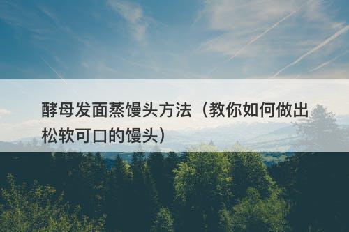 酵母发面蒸馒头方法（教你如何做出松软可口的馒头）-图1