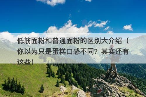 低筋面粉和普通面粉的区别大介绍（你以为只是蛋糕口感不同？其实还有这些）-图1