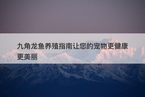 九角龙鱼养殖指南让您的宠物更健康更美丽-图1
