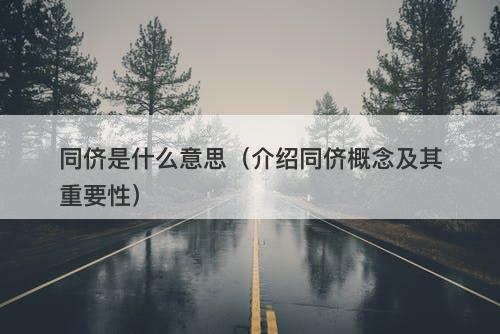 同侪是什么意思(介绍同侪概念及其重要性)-图1 同侪是什么意思(介绍同侪概念及其重要性)-图1