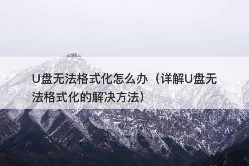 U盘无法格式化怎么办（详解U盘无法格式化的解决方法）-图1