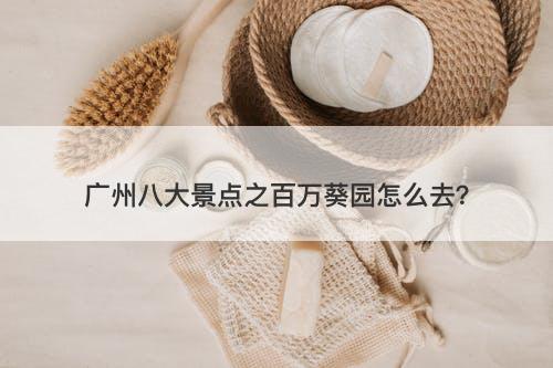 广州八大景点之百万葵园怎么去？-图1
