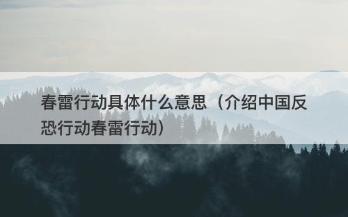 春雷行动具体什么意思（介绍中国反恐行动春雷行动）-图1