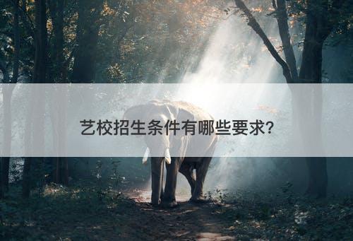 艺校招生条件有哪些要求？-图1