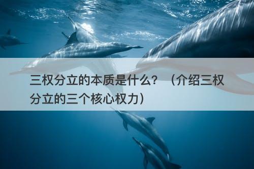 三权分立的本质是什么？（介绍三权分立的三个核心权力）-图1
