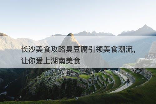 长沙美食攻略臭豆腐引领美食潮流，让你爱上湖南美食-图1