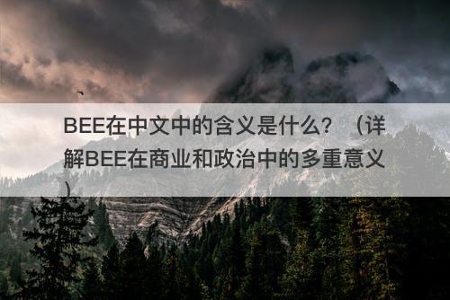 BEE在中文中的含义是什么?(详解BEE在商业和政治中的多重意义)-图1 BEE在中文中的含义是什么?(详解BEE在商业和政治中的多重意义)-图1