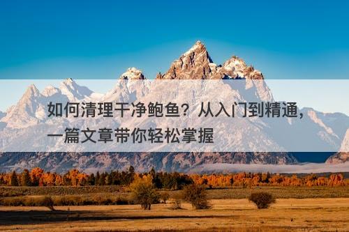 如何清理干净鲍鱼?从入门到精通,一篇文章带你轻松掌握-图1 如何清理干净鲍鱼?从入门到精通,一篇文章带你轻松掌握-图1